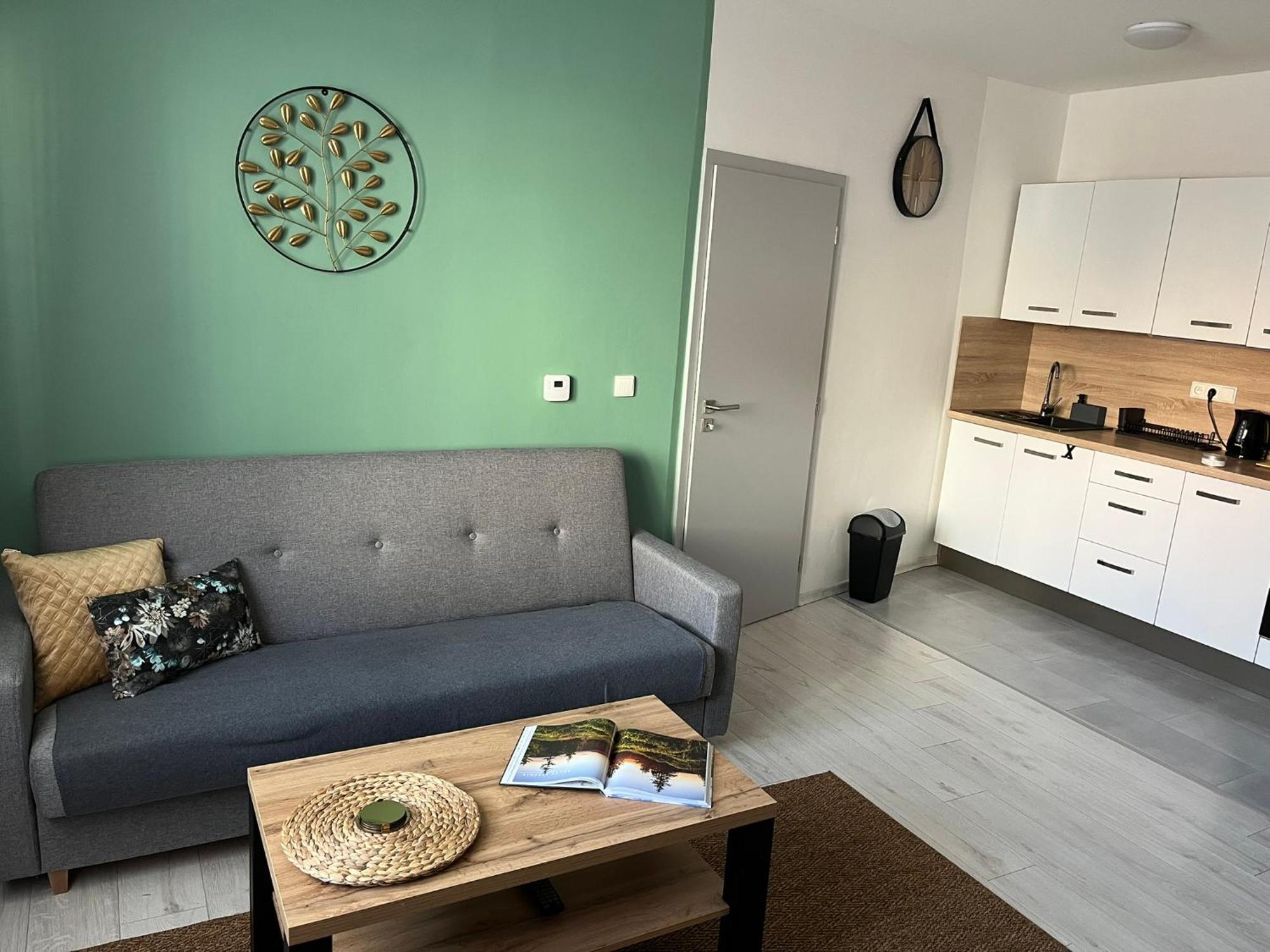 Apartman Na Dukelske S Garazi Tábor Exterior foto